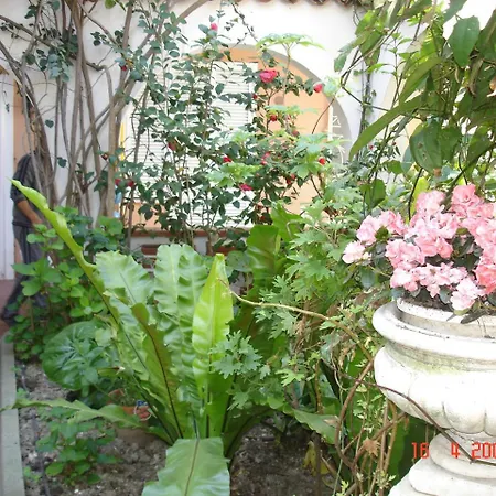 Marina Hotel apartamentowy Diano Marina